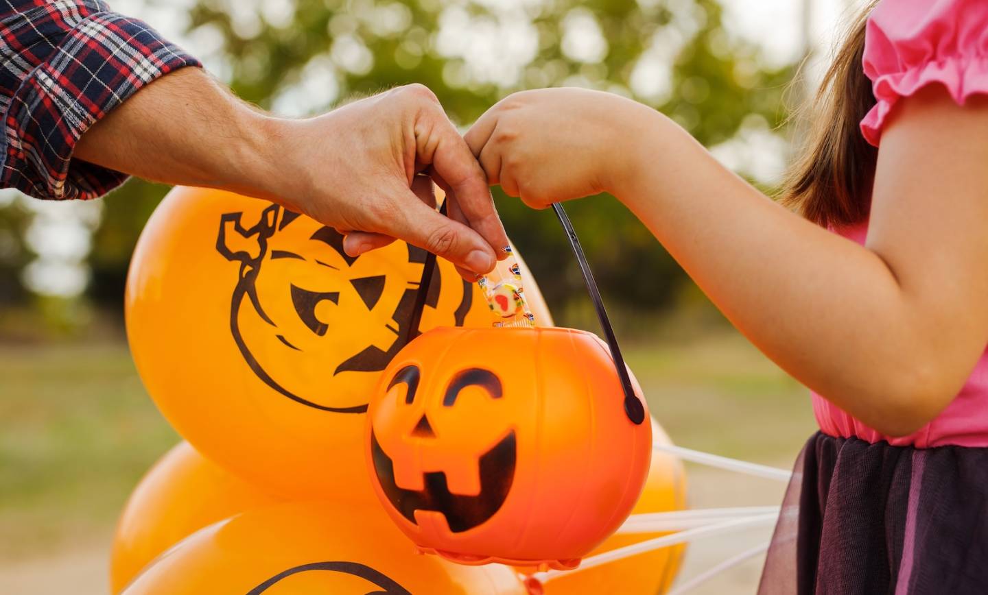 Trick or Treat 2026!